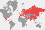 Mỹ “tuyên chiến” với 36 quốc gia trong chưa đầy một tuần