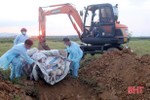 Phát hiện ổ dịch tả lợn châu Phi tại Lộc Hà