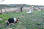 Muôn kiểu tạo dáng của nhiếp ảnh gia khi chụp ảnh cưới