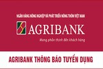 Agribank Chi nhánh Hà Tĩnh và Agribank Hà Tĩnh II tuyển dụng 26 nhân sự