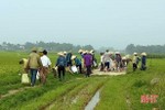 Hàng nghìn nông dân Hà Tĩnh ra quân làm sạch môi trường