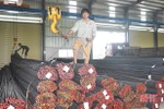 Doanh thu bán buôn hàng hóa 6 tháng của Hà Tĩnh dự tính đạt hơn 14,8 nghìn tỷ đồng