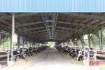 Vinamilk đăng ký đầu tư thêm dự án nuôi bò quy mô 1.200 tỷ tại Hà Tĩnh