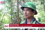 Phát triển rừng theo tiêu chuẩn của Hội đồng Quản lý rừng quốc tế tại Hương Sơn