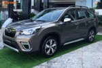 Cận cảnh Subaru Forester 2019 từ 990 triệu tại Việt Nam