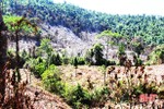 Lấn chiếm đất rừng ở Hà Tĩnh vẫn diễn biến phức tạp