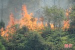 Dự báo thời tiết Hà Tĩnh: Nắng nóng gay gắt, cảnh báo cháy rừng lan rộng