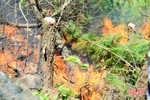 Lần thứ 3 đám cháy bùng phát, 500 người đổ về rừng Xuân Hồng dập lửa