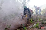 Dựng đường băng cản lửa - giải pháp cấp bách cứu rừng