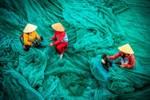 4 bức ảnh Việt Nam trong top 50 ảnh đẹp chụp người lao động thế giới