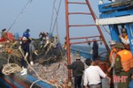 Hà Tĩnh xử lý hàng chục tàu cá vi phạm khai thác hải sản
