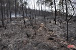 Núi Nầm Hương Sơn hoang tàn sau 2 trận cháy liên tiếp