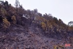Hà Tĩnh chỉ đạo làm rõ các vụ cháy rừng ở Hương Sơn