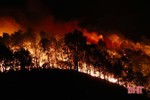 Rừng thông trên 40 năm tuổi ở Hương Sơn bùng cháy lần 2 trong 1 ngày