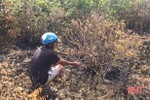 Phục dựng hiện trường cụ ông 5 lần phóng hỏa đốt rừng ở Hà Tĩnh