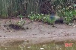 Phát hiện thi thể đang phân hủy bên rào nước ở Cẩm Xuyên