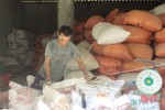 Lộc Hà dự trữ 15 tấn gạo, 50 ngàn bao tải cát phòng thiên tai - bão lũ