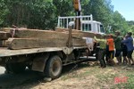 Thu giữ 15 bê gỗ tập kết trái phép trong khu dân cư ở huyện miền núi Hà Tĩnh