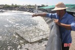 Ngỡ ngàng mô hình nuôi tôm “trên cạn” của nông dân Hà Tĩnh
