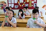 87,7% học sinh Hà Nội tham gia chương trình Sữa học đường