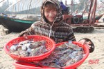 Ngư dân Cẩm Lộc “kiếm” hàng trăm triệu đồng từ nghề bóng ghẹ