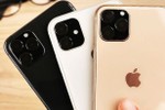 Ngày 10/9, Apple sẽ ra mắt iPhone 11?