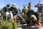 Chiến sỹ Biên phòng Hà Tĩnh giúp địa bàn nơi đóng quân xây dựng nông thôn mới