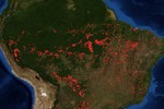 NASA tiếp tục công bố hình ảnh gây sốc về hậu họa của cháy rừng Amazon 