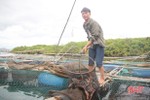 Thạch Sơn đưa cá nuôi lồng bè thành sản phẩm OCOP