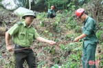 Xác định chính xác thiệt hại vụ cháy rừng chưa từng có ở Hà Tĩnh