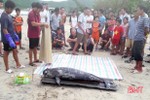 Cá voi hơn 70kg trôi dạt vào bờ biển Vũng Áng