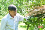 Tiên phong mở đường, cựu binh vùng biên Hà Tĩnh trở thành chủ trang trại rộng 27 ha