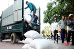 Chính phủ cấp 1.000 tấn gạo hỗ trợ nhân dân vùng lũ Hà Tĩnh