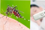 Những điều có thể bạn chưa biết về sốt xuất huyết Dengue