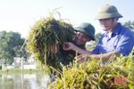 Gần 1.000 cán bộ, chiến sỹ BCH Quân sự Hà Tĩnh giúp nhân dân khắc phục hậu quả sau lũ