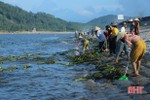 Người dân xã Cẩm Nhượng vớt bèo tây, rác thải dọc tuyến kè biển sau mưa bão