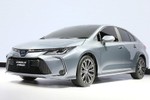 Toyota chưa vội bán Corolla Altis 2020 ở Việt Nam