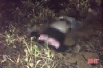 Phát hiện nam thanh niên chết trong rừng đước ở xã Thạch Môn