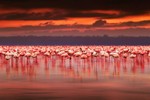 10 điểm du lịch nhuộm sắc hồng trên khắp thế giới