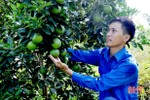 Thanh niên huyện miền núi Hà Tĩnh khai thác thế mạnh trồng cam Vietgap