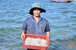Hơn 1 tuần, ngư dân ở Hà Tĩnh trúng đậm gần 10 tấn mực, thu 2,8 tỷ đồng