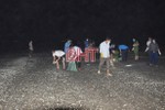 Nhiều người dân nghi hơn 2 tấn cá mòi dạt vào bờ biển Lộc Hà bị kích điện gây nên