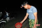 Người dân Xuân Hồng chong đèn, lội ruộng “săn” đặc sản trong đêm