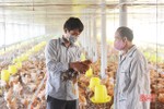 Tư duy lớn, hộ dân nuôi gà liên kết cỡ 40 ngàn con/năm ở TX Hồng Lĩnh