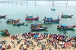 Hà Tĩnh công bố hạn ngạch giấy phép khai thác thủy sản cho hơn 3.700 tàu cá