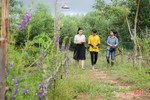 Hai nữ kỹ sư trẻ biến đồi hoang thành “đất thơ” ở Hà Tĩnh