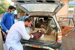 Đánh bom thánh đường giữa lễ cầu nguyện ở Afghanistan, 62 người chết