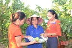 Ổi Đài Loan “kết duyên” chị em Cẩm Lạc nhờ quả ngon, dễ trồng