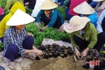 1 tháng phát động, phụ nữ Lộc Hà chỉnh trang gần 4.000 vườn hộ