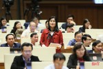 Đại biểu Quốc hội Hà Tĩnh: Xóa nợ thuế cần công khai, minh bạch, chịu sự kiểm tra, giám sát